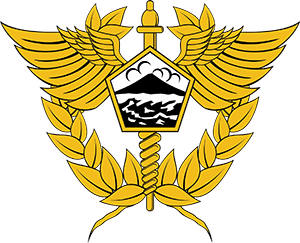Logo Bea Cukai Langsa